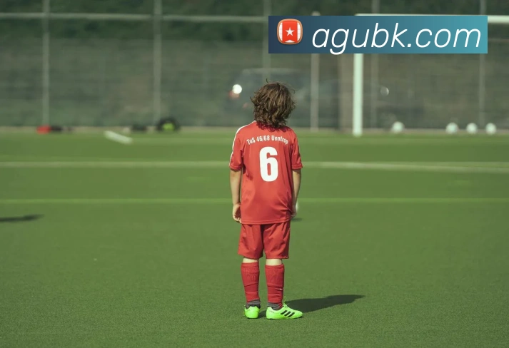 多媒体互动体验